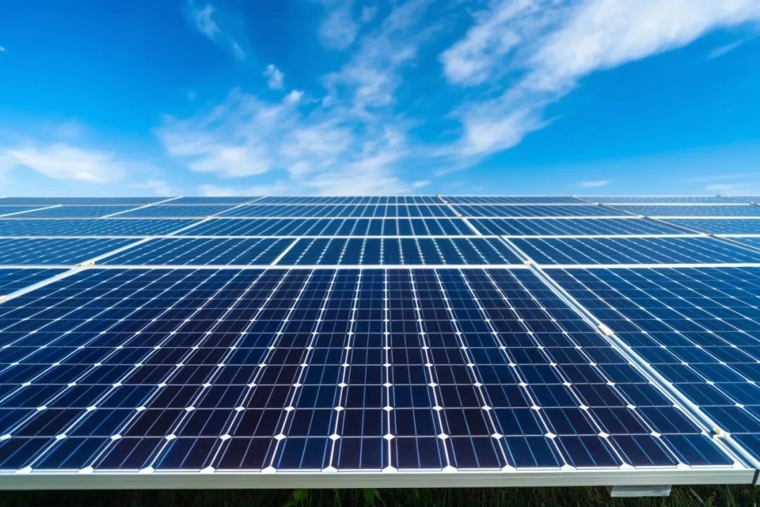 尊龙抖圈 - 为du而生